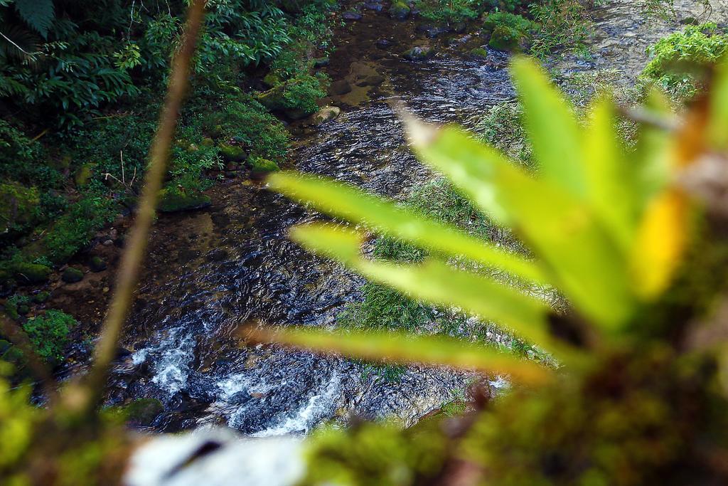Hotel Refugio Ecologico Amadamata Nova Friburgo Zewnętrze zdjęcie