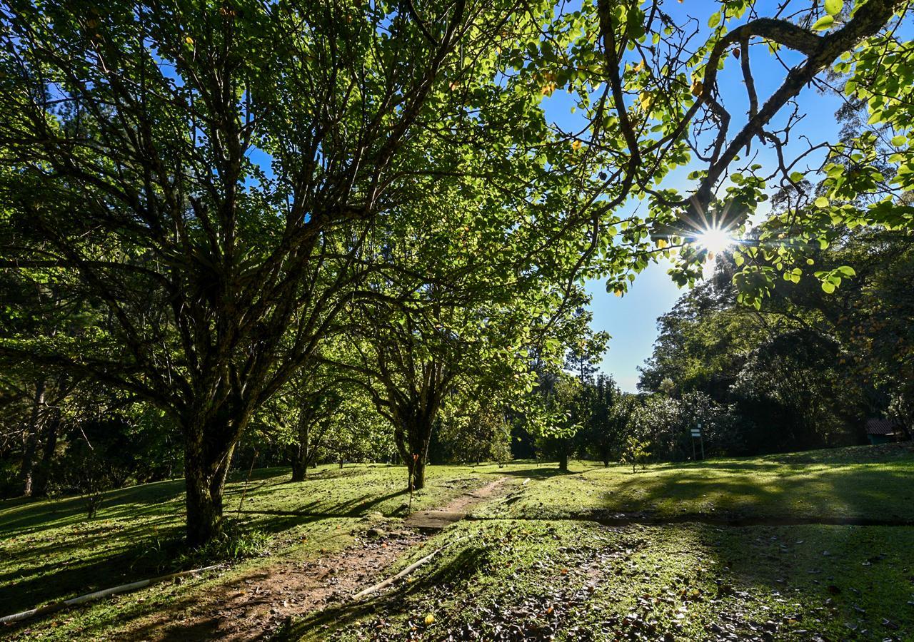 Hotel Refugio Ecologico Amadamata Nova Friburgo Zewnętrze zdjęcie