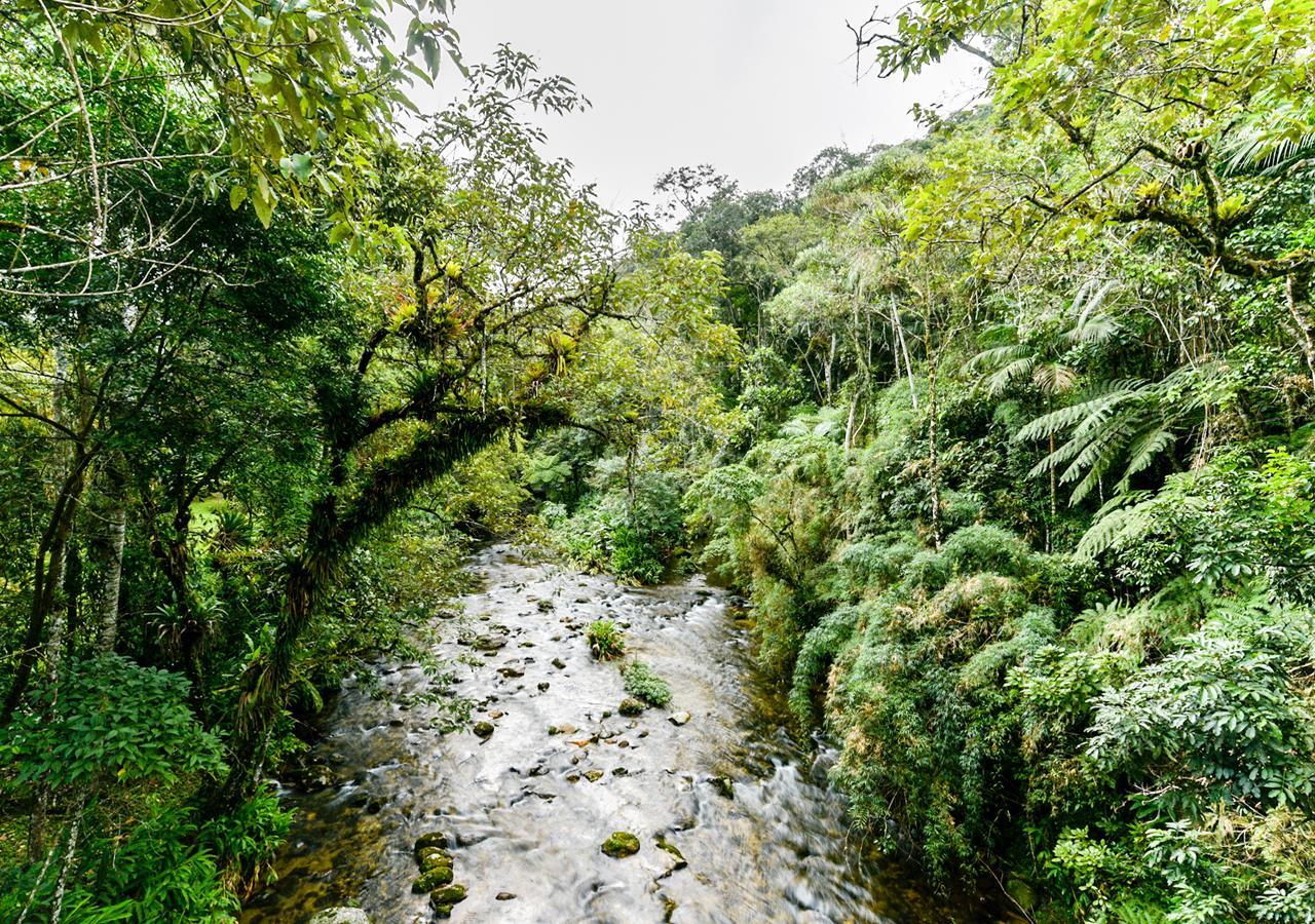 Hotel Refugio Ecologico Amadamata Nova Friburgo Zewnętrze zdjęcie