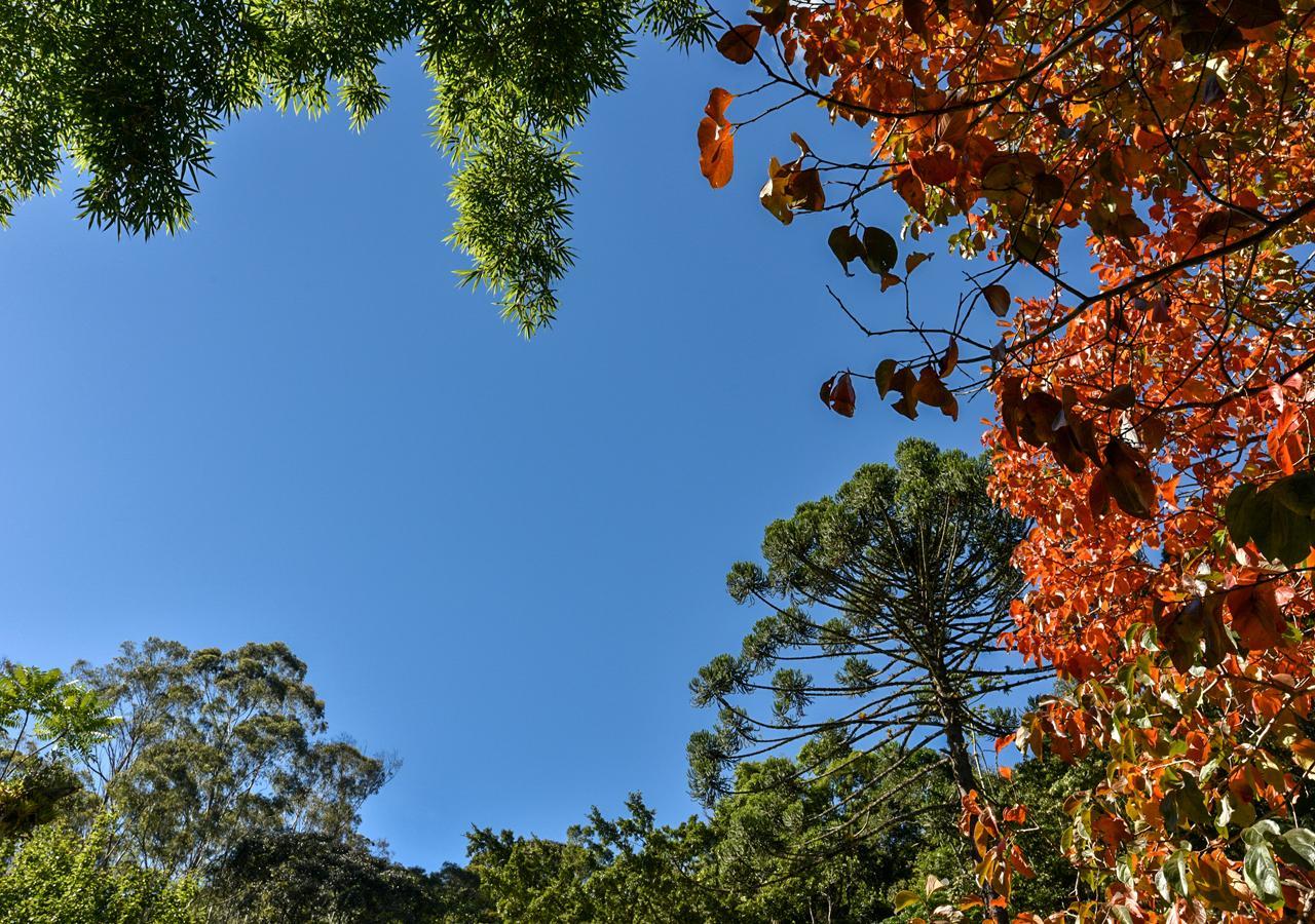 Hotel Refugio Ecologico Amadamata Nova Friburgo Zewnętrze zdjęcie