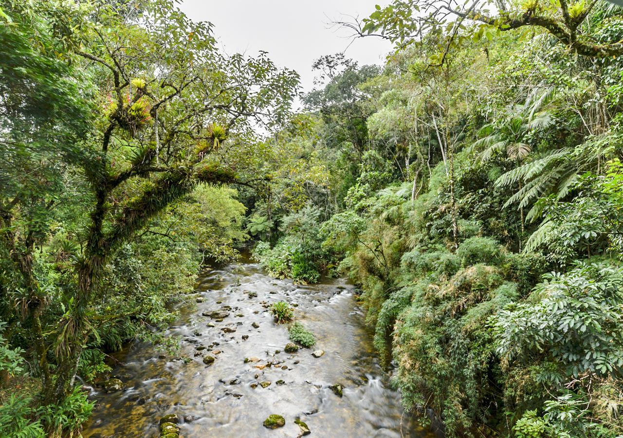 Hotel Refugio Ecologico Amadamata Nova Friburgo Zewnętrze zdjęcie