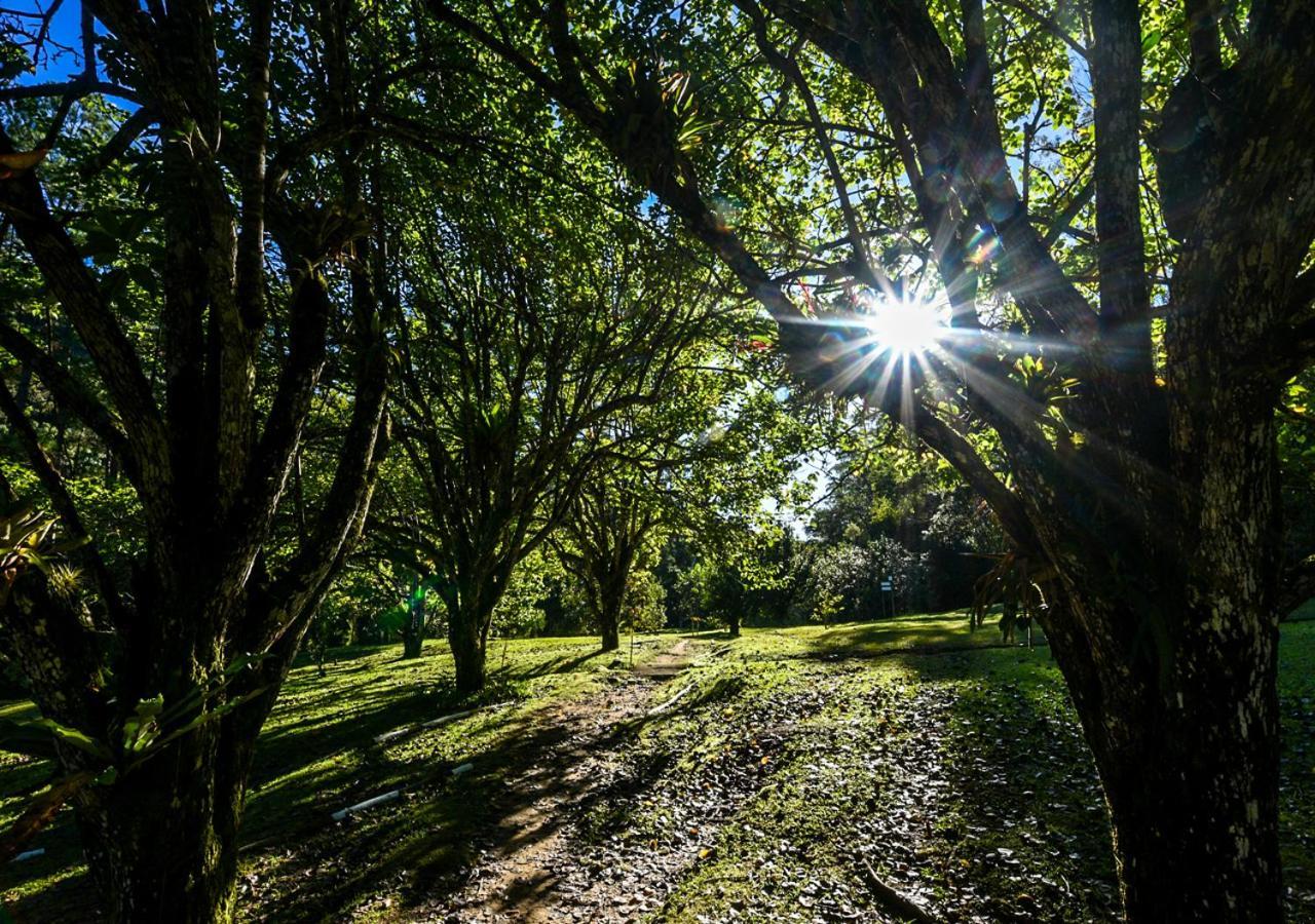Hotel Refugio Ecologico Amadamata Nova Friburgo Zewnętrze zdjęcie